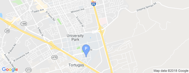 Pan American Center